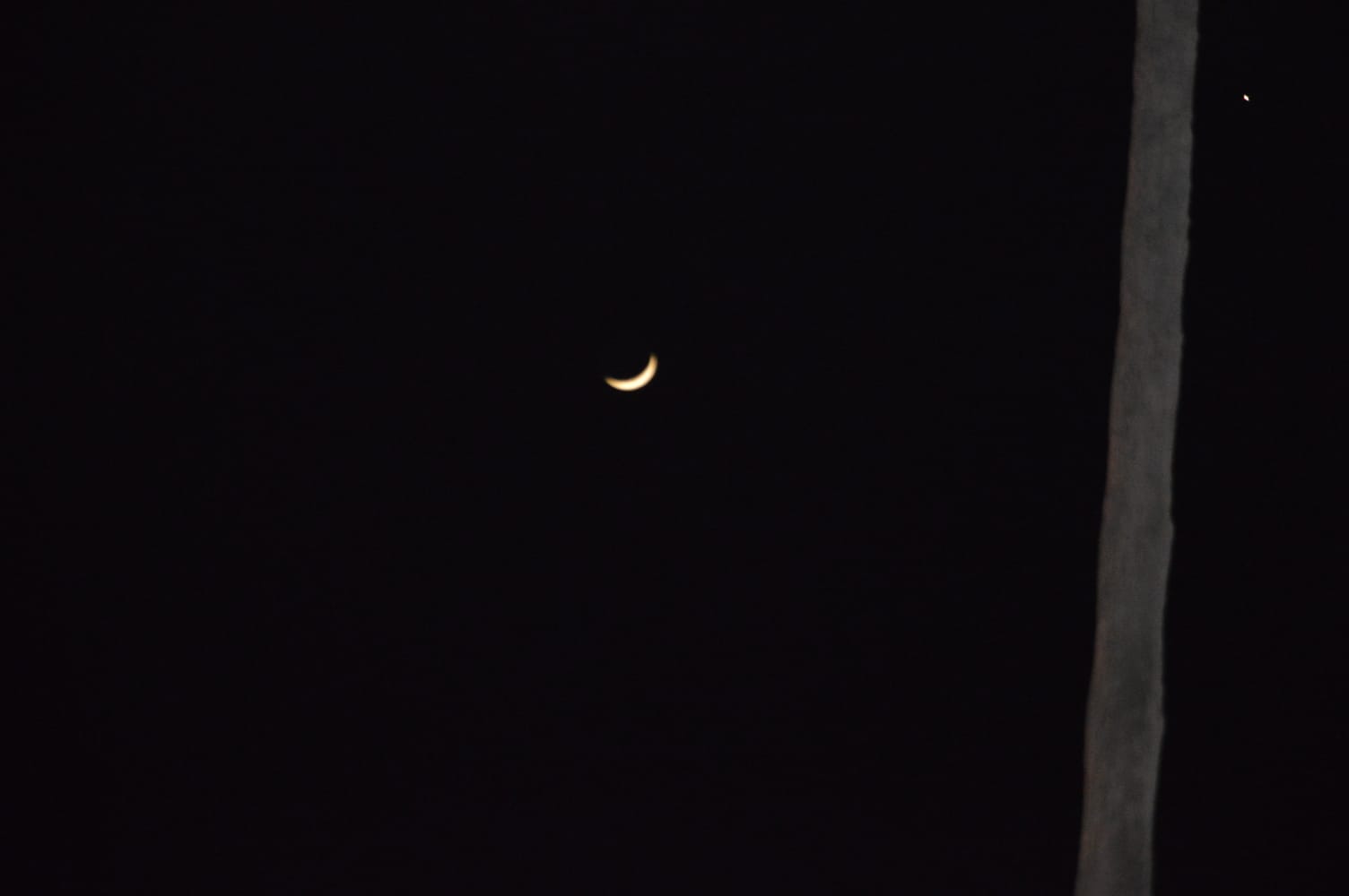 WhatsApp Image 2020-04-26 at 11.08.43 PM (1).jpeg.jpeg